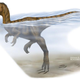 Image for article titled Why escaping to the water wouldn't have saved you from a dino attack